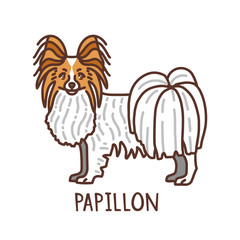 Isolated Papillion in Hand Drawn Doodle Style