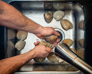Man scrubbing clams
