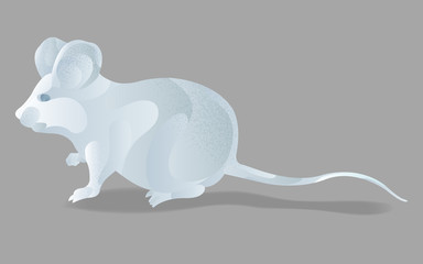 Abstract white metal mouse isolated vector illustration. Symbol of the asian new year in modern style with liquid metal effect and grain texture. Chinese lunar zodiac symbol.