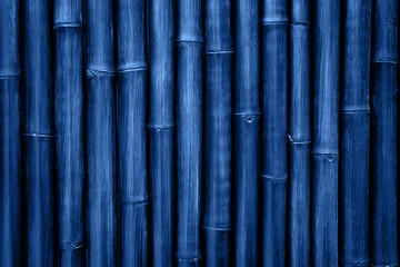 Blue bamboo texture background