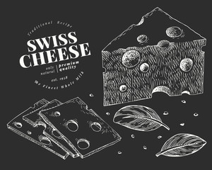 Swiss cheese illustration. Hand drawn vector dairy illustration on chalk board. Engraved style maasdam slice cut. Vintage food illustration.