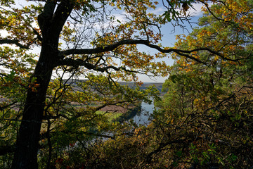Fototapeta premium Naturschutzgebiet Grainberg-Kalbenstein und Weinberge zwischen Gambach und Karlstadt, Landkreis Main-Spessart, Unterfranken, Bayern, Deutschland