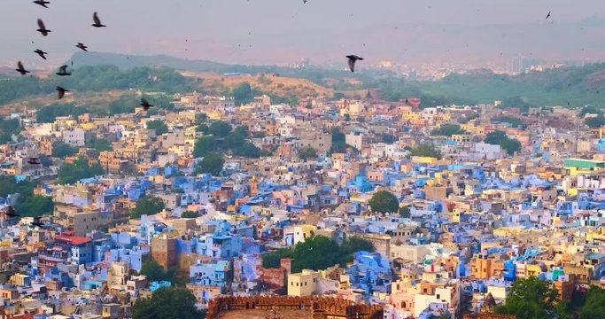 Houses of famous Jodhpur the Blue City and birds flying above brahmin houses, view from Mehrangarh Fort, Rajasthan, India.