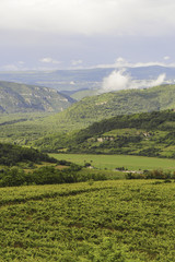 Istrien, Kroatien, Motovun