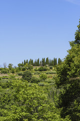 Istrien, Kroatien, Groznjan