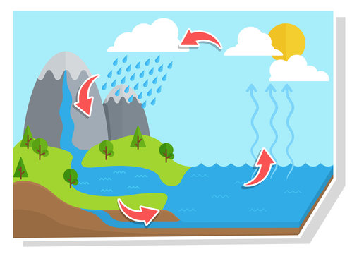 Water cycle diagram.Vector shows the water cycle from water droplets to raindrops.