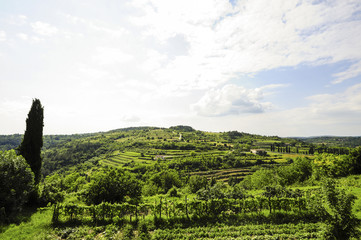 Istrien, Kroatien, Obertal, Portole, Oprtalj