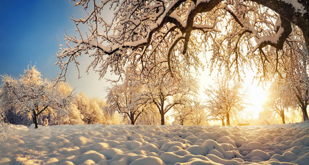 Winter landscape with snow and gold sunlight