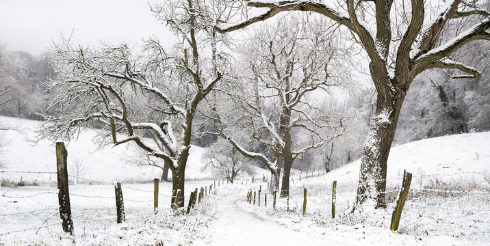 Footpath in snow, leading into magical winter landscape