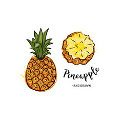 Pineapple fruit graphic drawing. Watercolor pineapples on a white background. Vector isolated illustration