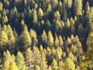Stilfser Joch, S&uuml;dtirol, Italien
