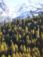 Stilfser Joch, Südtirol, Italien