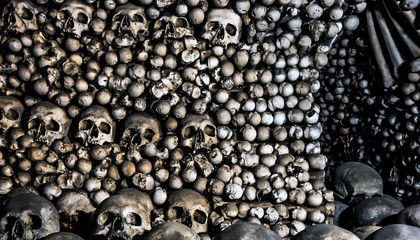 Human bones skulls halloween day of dead