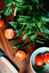 Lifestyle photo of cooking healthy eating with tomatoes and fresh spinach on a kitchen table.