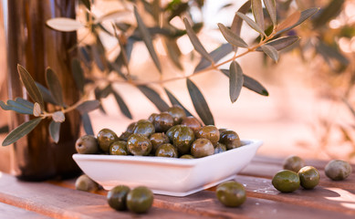 olives on table in an olive grove