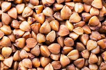 Buckwheat groats background. Close up. Macro. Healthy food, diet, veg, natural product. Horizontal