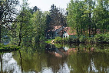Fototapeta na wymiar Trees lining the Malse river in Ceske Budejovice, Czech Republic