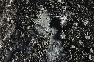 the winter is coming, frost on the ground, snow background