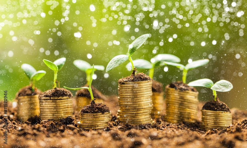 Poster Golden coils in soil with young plants