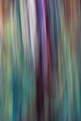 Cedar - abstract colorful background