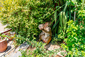 Islamabad Daman-e Koh Park 100