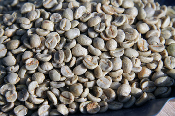 Green raw coffee beans. Full frame photo of unroasted coffee beans.