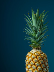 Pineapple is an economic fruit