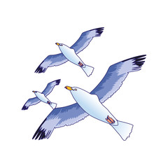 gulls flying icon over white background