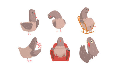 Funny Grey Pigeons Cartoon Characters Vector Set