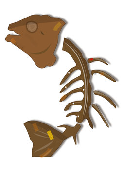 Poisson fossile