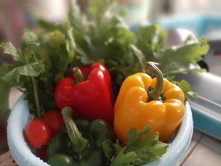 fresh vegetables in colander