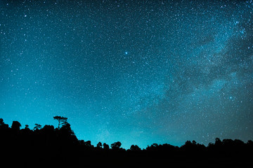 Fototapeta na wymiar Blue dark night sky with many stars above field of trees, Milkyway cosmos background