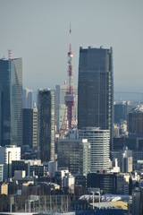 Fototapeta na wymiar The view of Tokyo in Japan