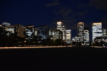 Fototapeta na wymiar The night view of Tokyo