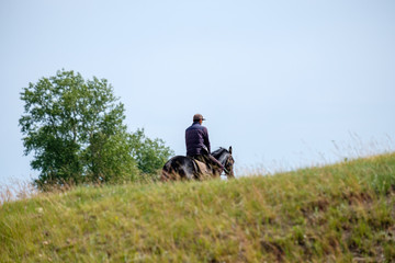 a rider on a horse hiding behind a hill. summer day