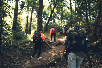 Trekking in the backpacker region in Asia, the air is fresh green