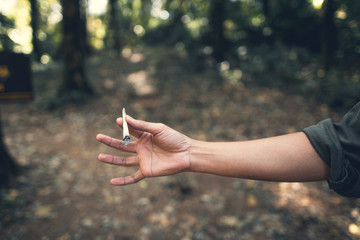 Homemade cigarettes in the countryside with banana leaves