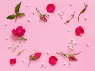 Flowers and petals on a light pink background