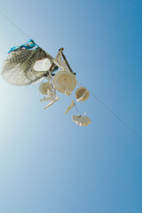 Blue decoratie bells hanging in the sun on a summer day.