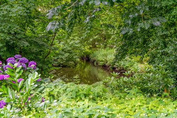 waterside scenery