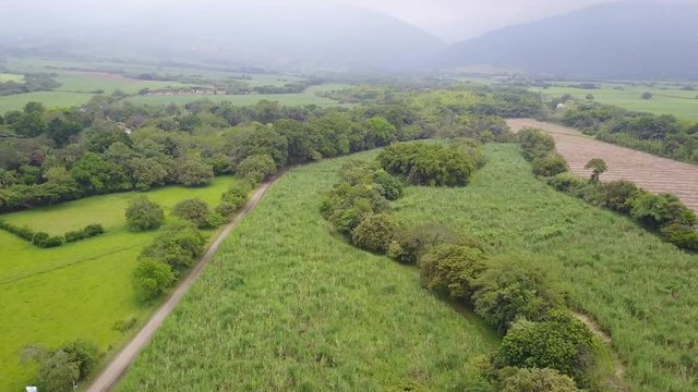 Drone view of coffe plantation in Colombia