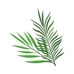 tropical leaves icon image, colorful design