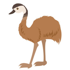 Cartoon ostrich emu. Vector illustration on a white background. Drawing for children.
