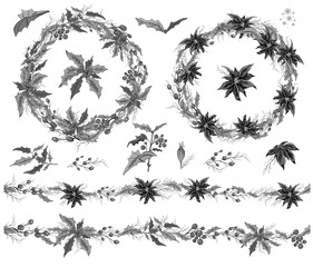 Set of winter flowers, branches. hand drawn Botanical Doodle in realistic style. seamless brush garland with seasonal elements for your ideas, paper greeting cards, posters, advertising.