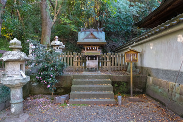 田辺市 闘鶏神社 玉置神社 © 健太 上田