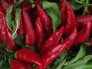 red hot chili peppers on wooden background