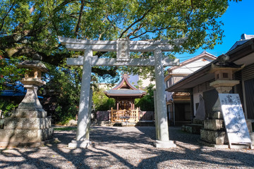 Obraz premium 田辺市 闘鶏神社 摂社 藤厳神社