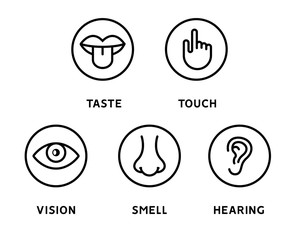 Five human senses vision eye, smell nose, hearing ear, touch hand, taste mouth and tongue. Line vector icons set
