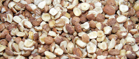 Hazelnuts. Protein nuts pattern.