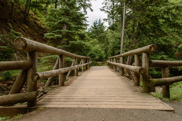 Hiking Trail in Forest with Wooden Handrails